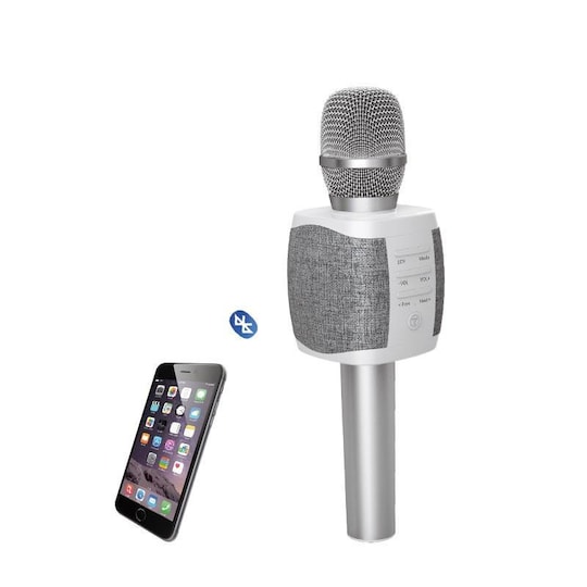 Karaoke mikrofon og høyttalere 2 i 1, sølv
