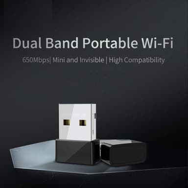 USB Wifi-adapter Dual Band 650 Mbps