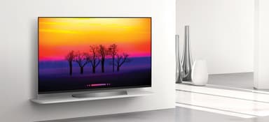 LG 65" 4K UHD OLED Smart TV E8 OLED65E8