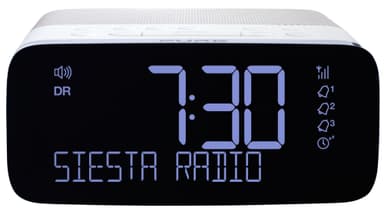 Pure Siesta Rise radio