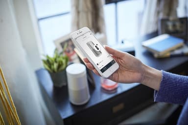 Bose SoundLink Revolve II trådløs høyttaler (luxe silver)