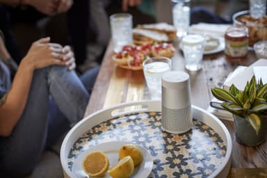 Bose SoundLink Revolve II trådløs høyttaler (luxe silver)