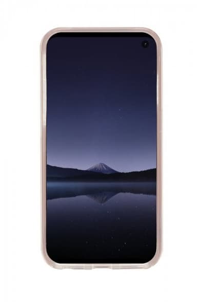 Richmond & Finch Samsung Galaxy S10 Plus Deksel Pink Marble