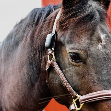 MiniFinder Atto GPS-tracker til dyr