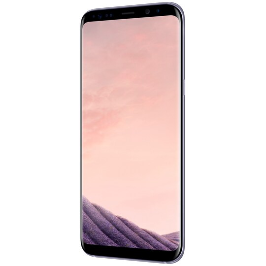 Samsung Galaxy S8+ smarttelefon (grå)