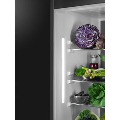 AEG SCE618F3LS Fridge/freezer