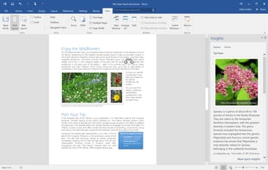 Microsoft 365 Personal (digital programvare)