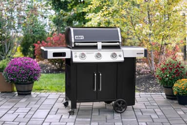 Weber Genesis II EX-315 gassgrill 61015769