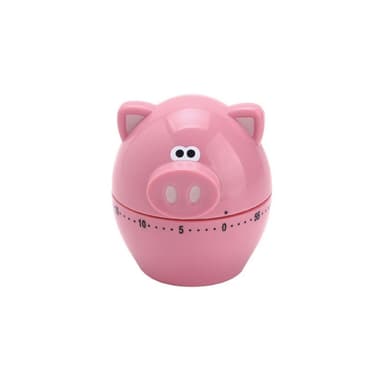Timer Piggy Wiggy
