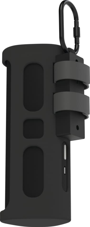 Flexson Sonos Roam reiseetui