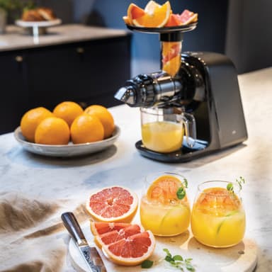 Wilfa Juicemaster slow juicer SJ1B500