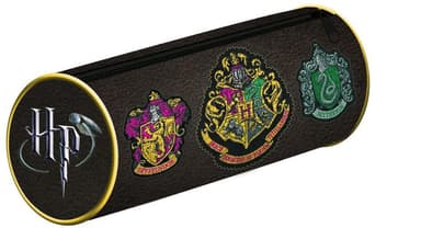 Harry Potter Penal