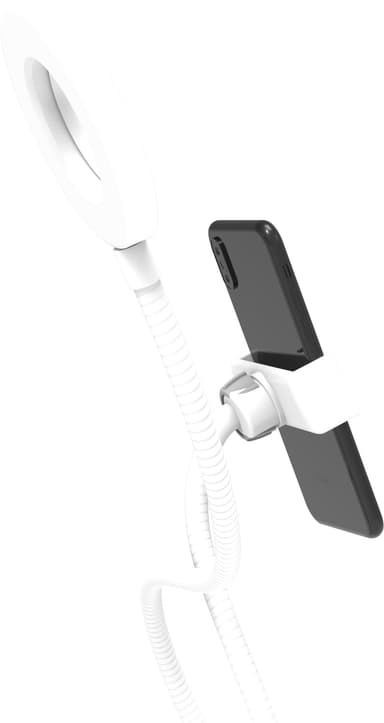 Digip For You Vlogging stativ og ringlys