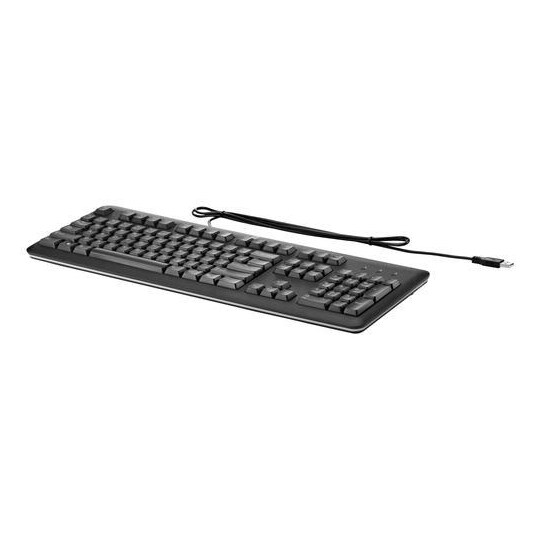 HP USB-tastatur for PC, Standard, Koblet med ledninger (ikke trådløs), USB, Svart