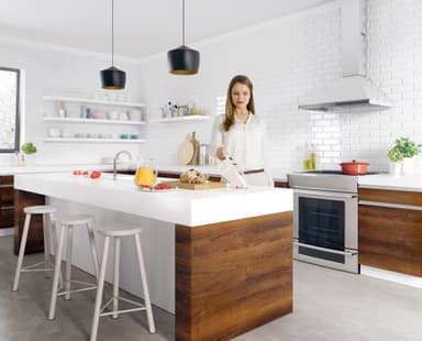 Electrolux Rapido håndholdt støvsuger ZB5003SW (shell white)