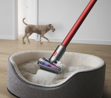 Dyson Outsize Absolute støvsuger 38590801 (sprayed nickel)