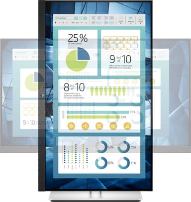 HP EliteDisplay E24 G4 23,8" skjerm (sort)