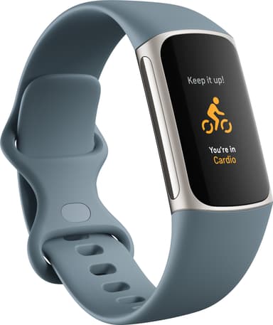 Fitbit Charge 5 aktivitetsarmbånd (steel blue/platinum)