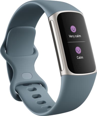 Fitbit Charge 5 aktivitetsarmbånd (steel blue/platinum)