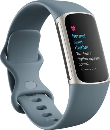 Fitbit Charge 5 aktivitetsarmbånd (steel blue/platinum)
