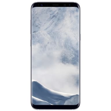 Samsung Galaxy S8 Plus smarttelefon (sølv)