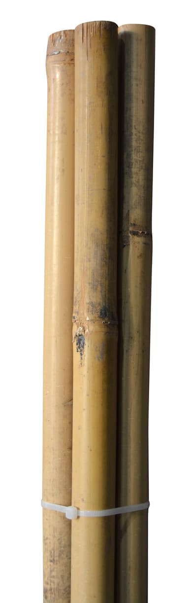 Bambupinnar – 150 cm – Ø25,4 mm – 4 st.