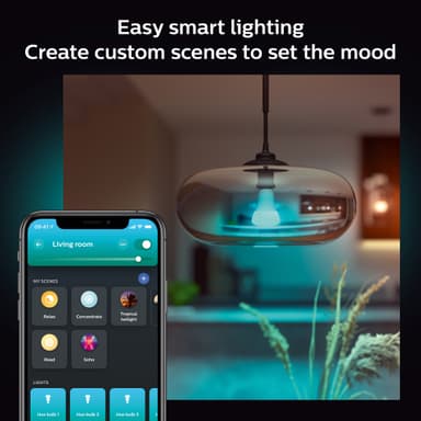 Philips Hue WCA 15W A67 E27