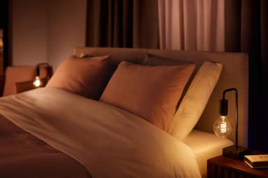 Philips Hue WA 7W Fil G93 E27
