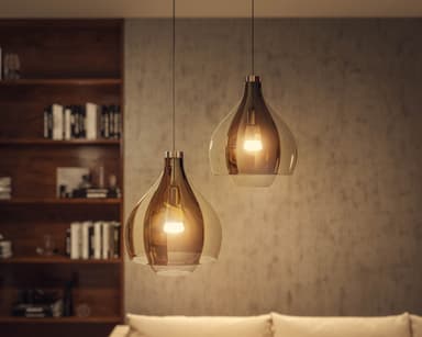 Philips Hue WA 8W A60 E27 2-pk.