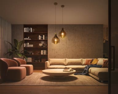 Philips Hue WA 8W A60 E27 2-pk.