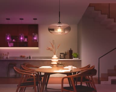 Philips Hue WCA 15W A67 E27