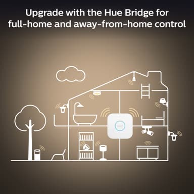 Philips Hue WA 13,5W A67 E27
