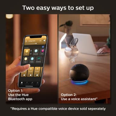 Philips Hue WA 13,5W A67 E27