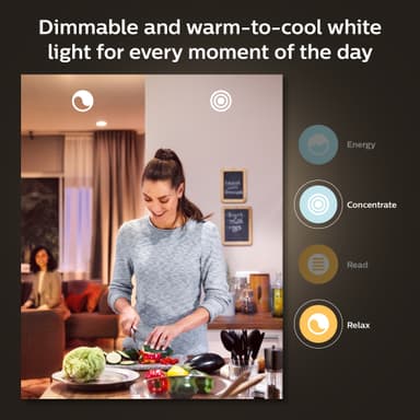 Philips Hue WA 13,5W A67 E27