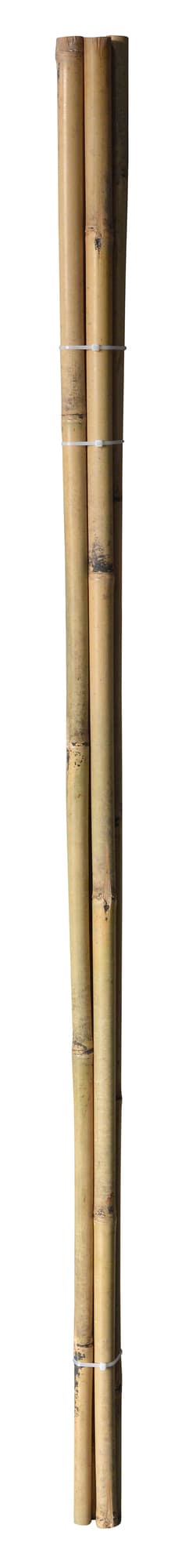 Bambupinnar – 150 cm – Ø25,4 mm – 4 st.