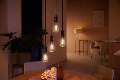 Philips Hue WA 7W Fil ST72 E27