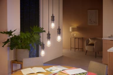 Philips Hue WA 7W Fil ST64 E27