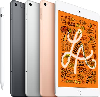 iPad mini (2019) 64 GB WiFi+4G (stellargrå)