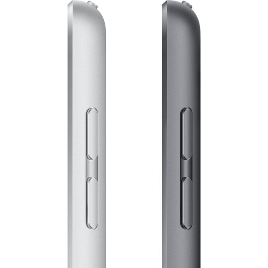 iPad 10,2" (2021) 256 GB WiFi (stellargrå)