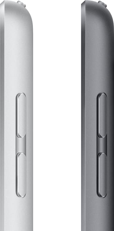 iPad 10,2" (2021) 64 GB 4G LTE (stellargrå)