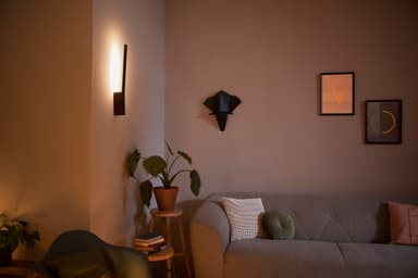 Philips Hue Liane vegglampe 12W 24V (sort)
