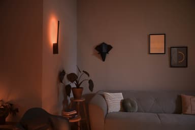 Philips Hue Liane vegglampe 12W 24V (sort)