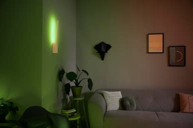 Philips Hue Liane vegglampe 12W 24V (hvit)