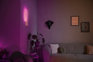 Philips Hue Liane vegglampe 12W 24V (hvit)