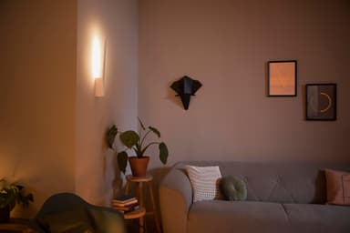 Philips Hue Liane vegglampe 12W 24V (hvit)