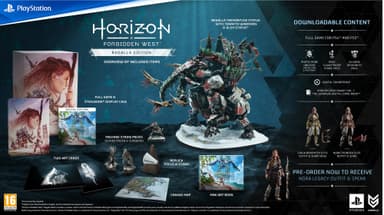 Horizon Forbidden West - Regalla Edition (PS4/PS5)