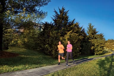 Garmin Forerunner 55 GPS sportsklokke (hvit)
