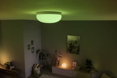 Philips Hue Flourish taklampe 24V (hvit)