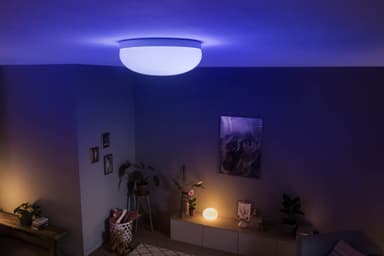 Philips Hue Flourish taklampe 24V (hvit)