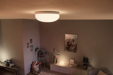 Philips Hue Flourish taklampe 24V (hvit)